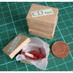 Pair of Red Shoes in a Shoebox